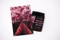 DSC01094-2.jpg